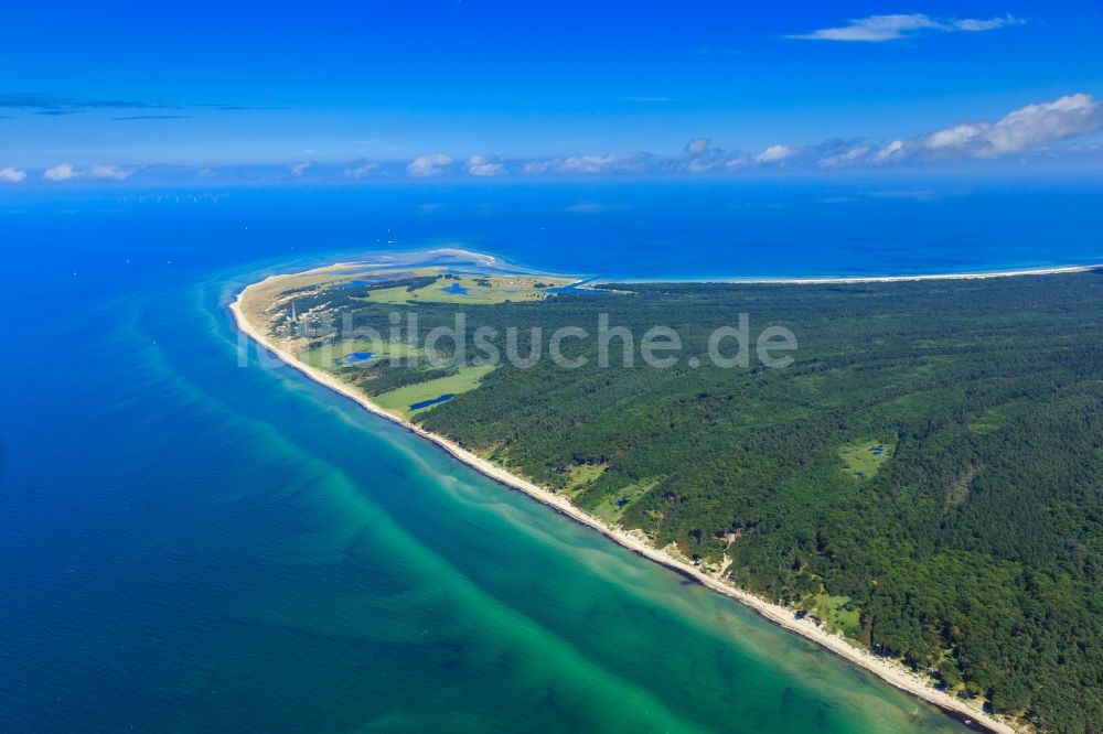 Luftaufnahme Born am Darß - Küsten- Landschaft am Sandstrand der Ostsee in Born am Darß im Bundesland Mecklenburg-Vorpommern, Deutschland