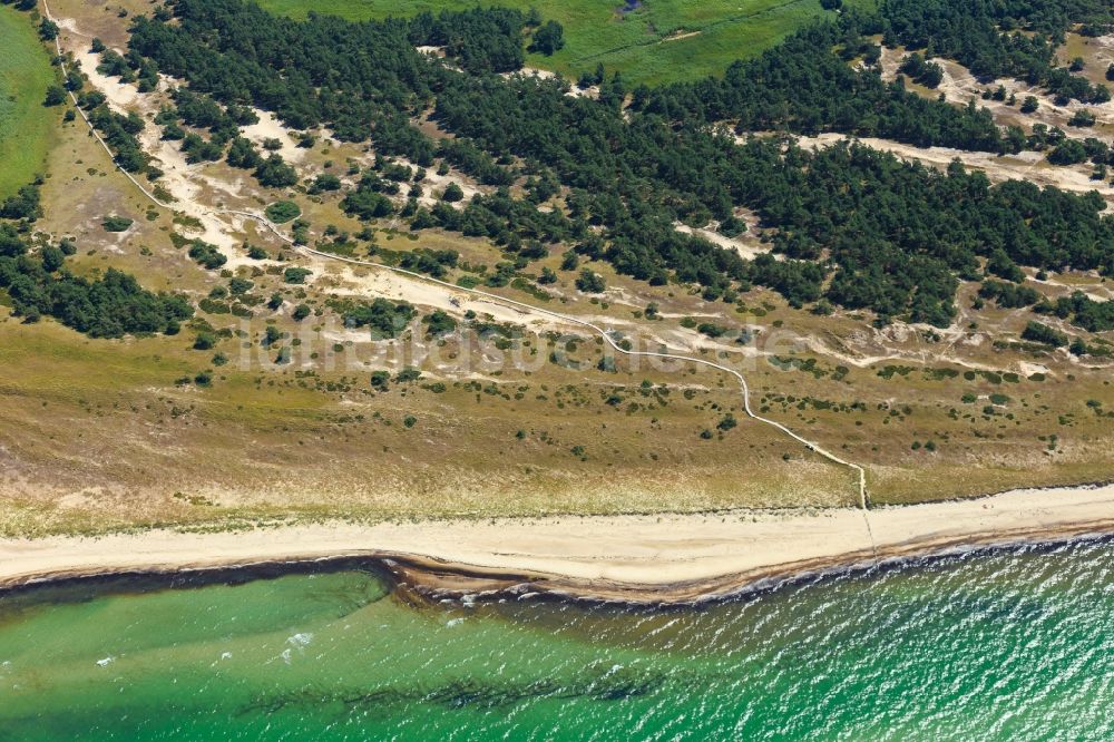 Luftbild Born am Darß - Küsten- Landschaft am Sandstrand der Ostsee in Born am Darß im Bundesland Mecklenburg-Vorpommern, Deutschland