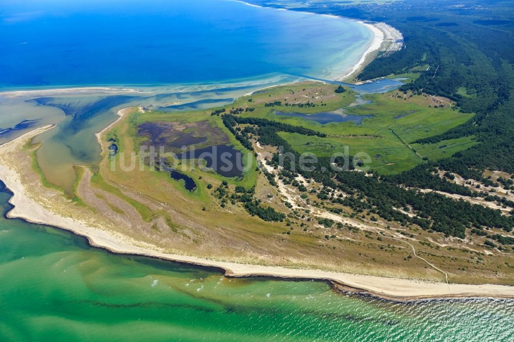 Luftaufnahme Born am Darß - Küsten- Landschaft am Sandstrand der Ostsee in Born am Darß im Bundesland Mecklenburg-Vorpommern, Deutschland