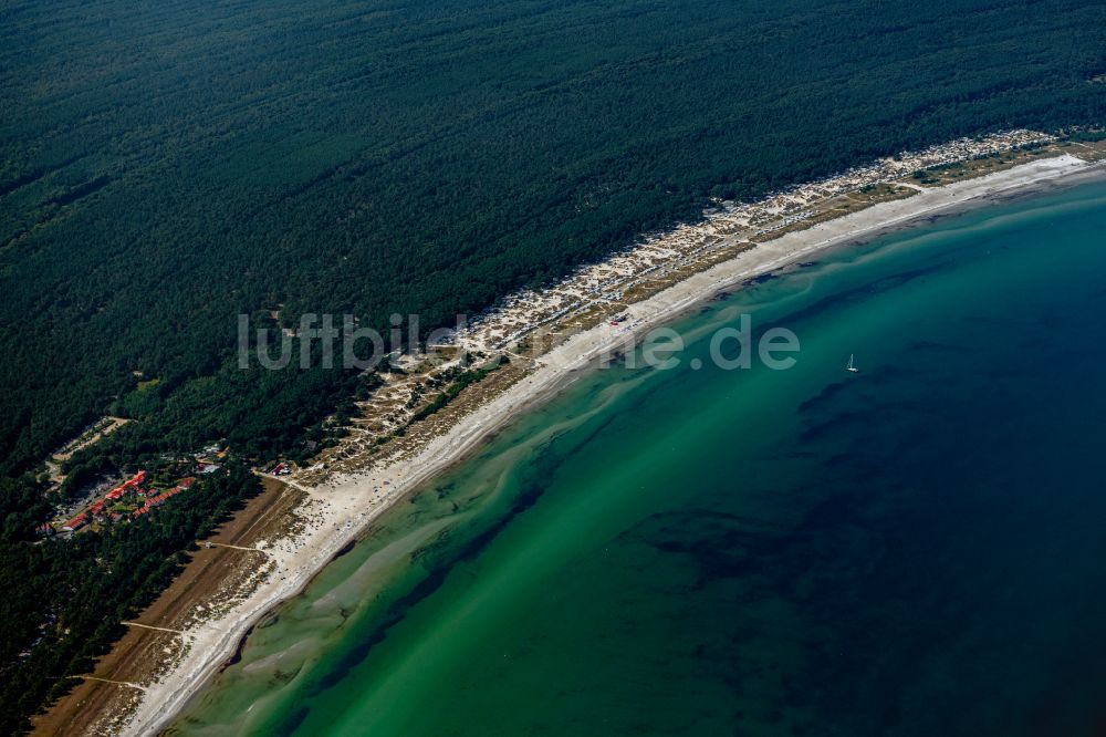 Prerow aus der Vogelperspektive: Küsten- Landschaft am Sandstrand der Ostsee in Prerow im Bundesland , Deutschland
