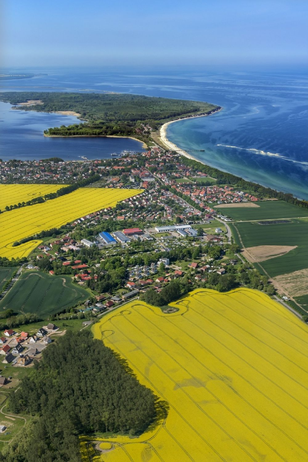Rerik aus der Vogelperspektive: Küsten- Landschaft am Sandstrand der Ostsee in Rerik im Bundesland Mecklenburg-Vorpommern, Deutschland