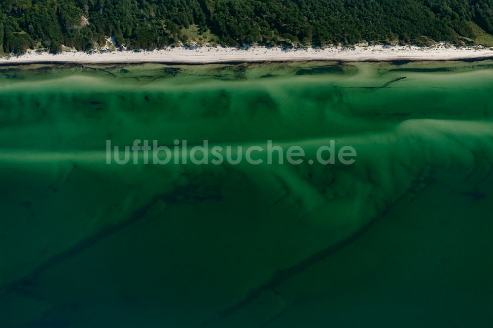 Luftaufnahme Born am Darß - Küsten- Landschaft am Sandstrand der Ostsee am Weststrand auf der Halbinsel Darß im Bundesland, Deutschland