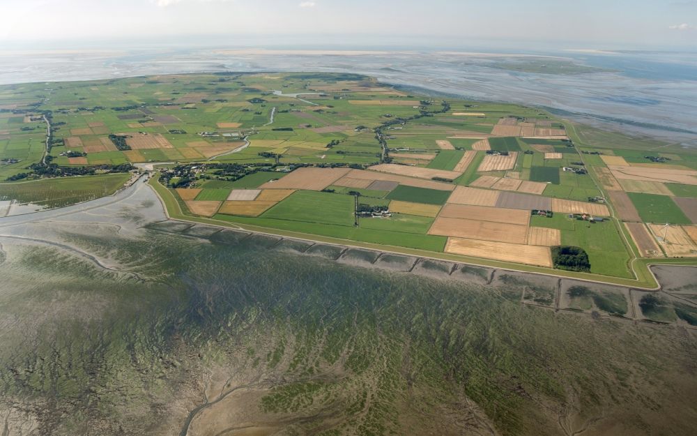 Luftbild Pellworm - Küstenbereich der Insel Pellworm im Bundesland Schleswig-Holstein
