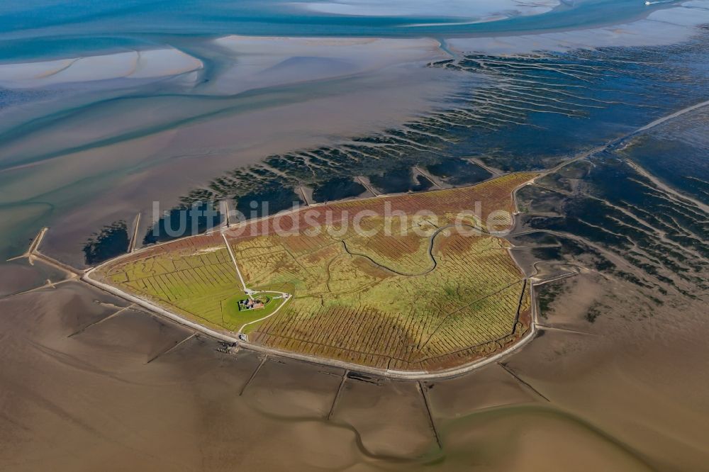 Luftaufnahme Hallig Südfall - Küstenbereich der Nordsee - Insel in Hallig Südfall im Bundesland Schleswig-Holstein, Deutschland
