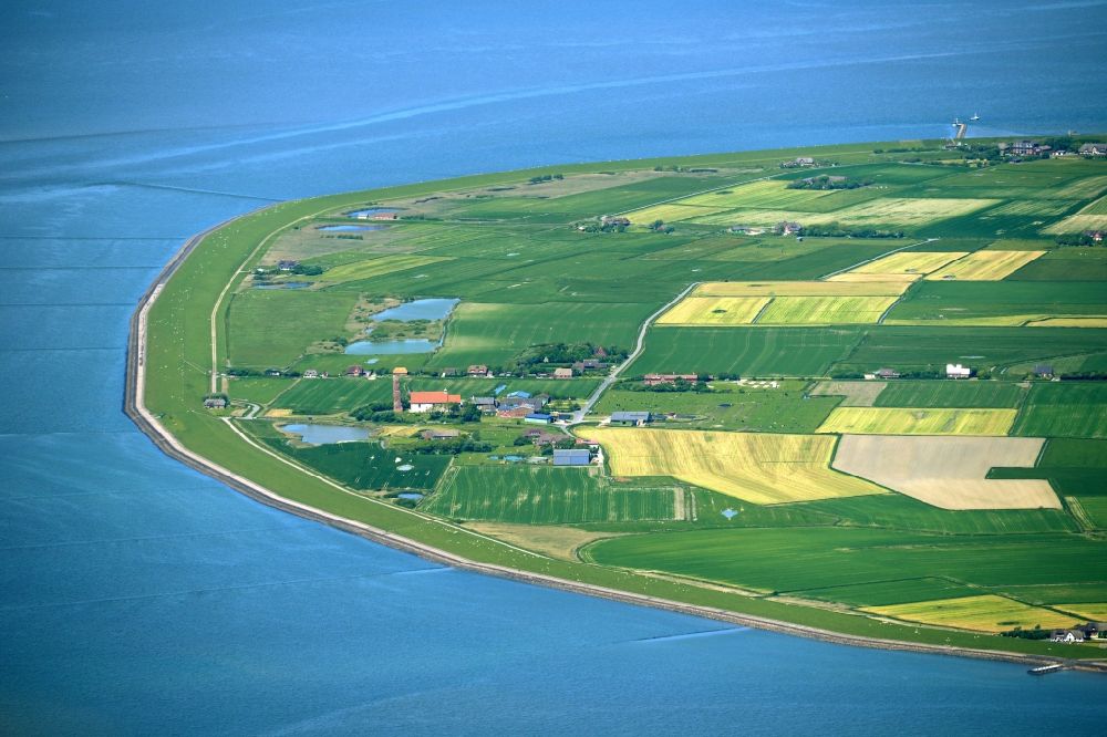 Pellworm aus der Vogelperspektive: Küstenbereich der Nordsee - Insel in Pellworm im Bundesland Schleswig-Holstein