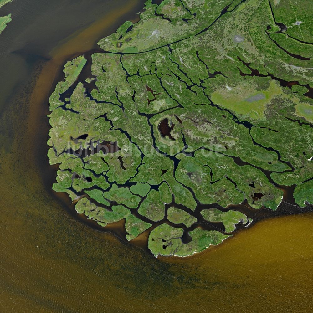 Großer Kirr aus der Vogelperspektive: Küstenbereich der Ostsee - Insel Großer Kirr im Bundesland Mecklenburg-Vorpommern