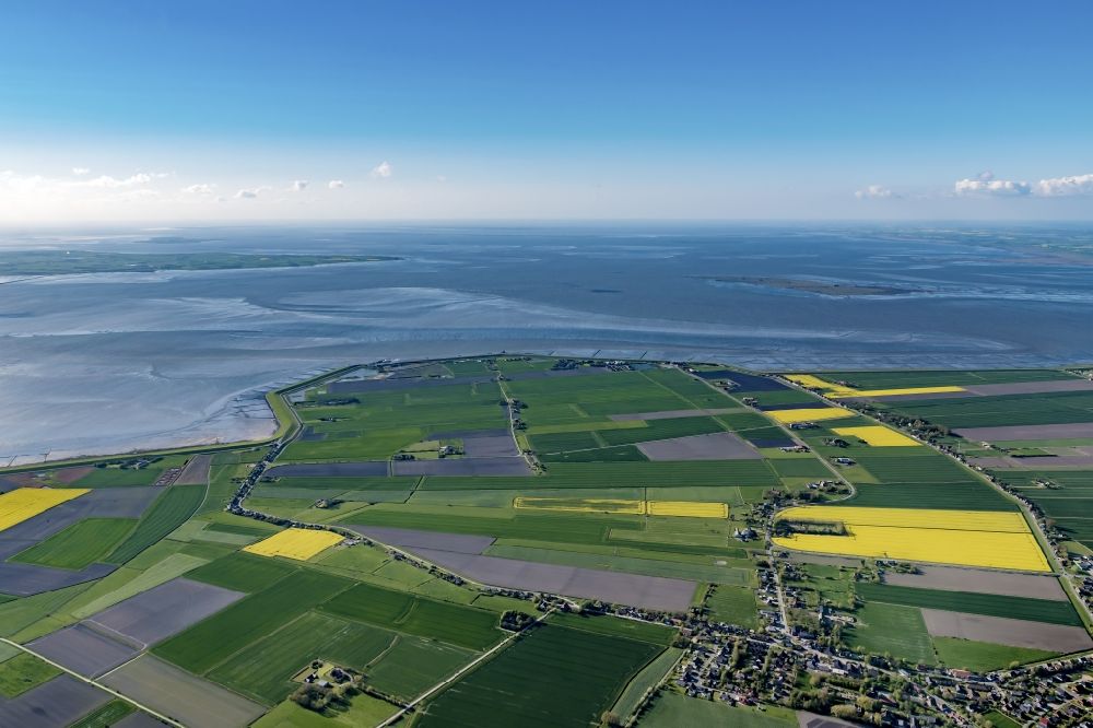 Luftbild Nordstrand - Küstenbereich Wiesen und Felder der Halb - Insel in Nordstrand im Bundesland Schleswig-Holstein, Deutschland