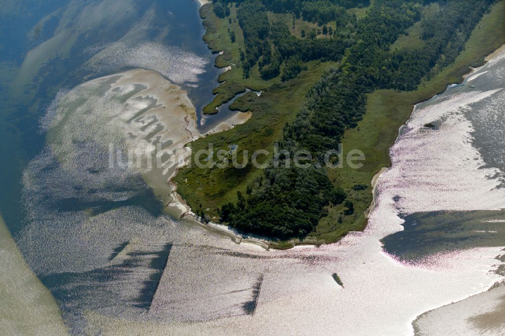 Luftbild Insel Bock - Küstenbereich der Insel Bock in der Ostsee im Bundesland Mecklenburg-Vorpommern, Deutschland