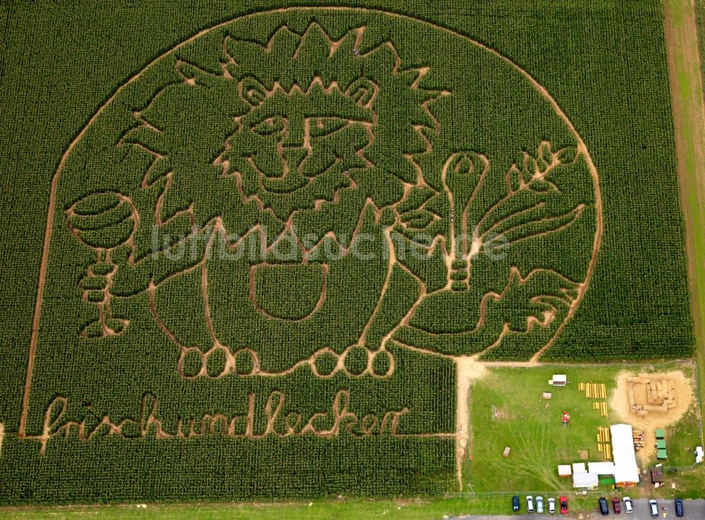 Dieburg aus der Vogelperspektive: Labyrinth mit Löwenmotiv und Schriftzug frisch und lecker in Dieburg im Bundesland Hessen