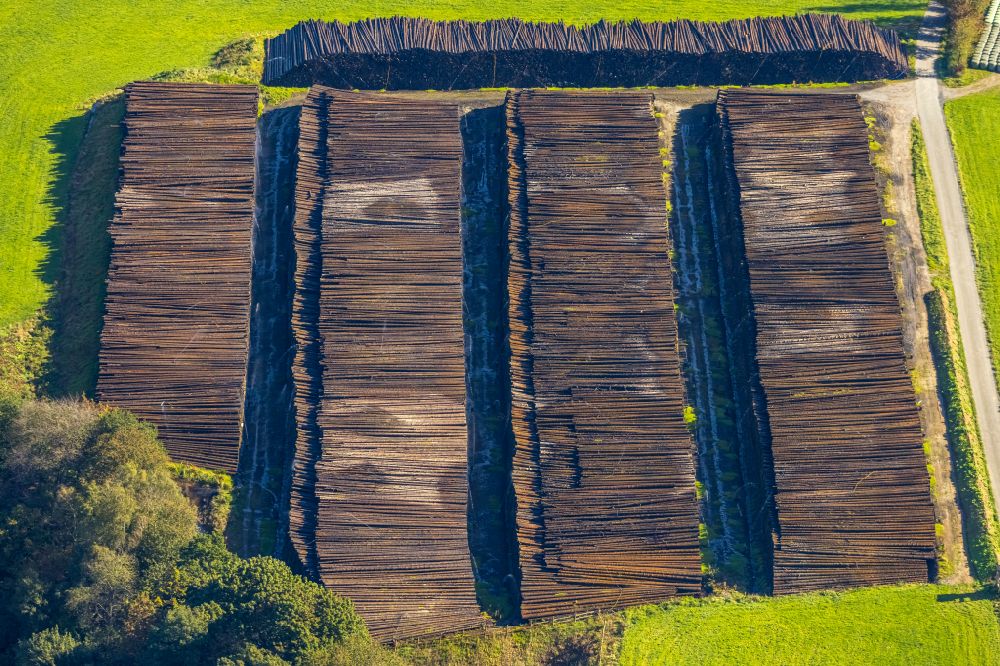 Rönkhausen von oben - Lagerfläche für gefällte Baumstämme als Rohstoff der Holzindustrie im Gewerbegebiet in Rönkhausen im Bundesland Nordrhein-Westfalen, Deutschland
