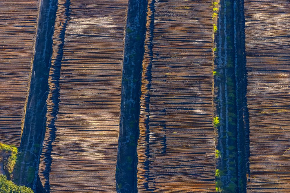 Rönkhausen aus der Vogelperspektive: Lagerfläche für gefällte Baumstämme als Rohstoff der Holzindustrie im Gewerbegebiet in Rönkhausen im Bundesland Nordrhein-Westfalen, Deutschland