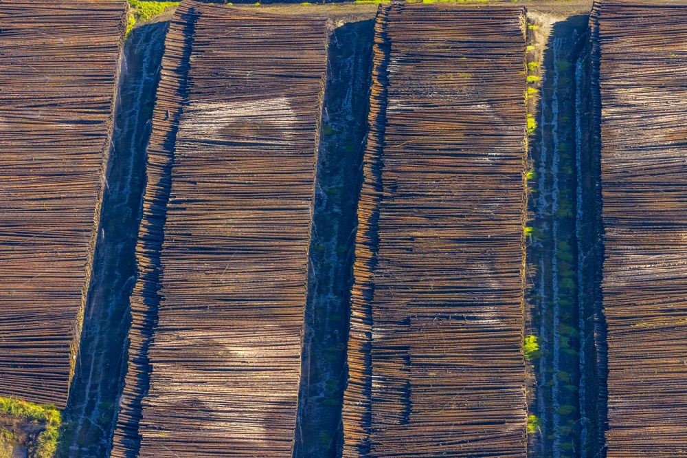 Luftbild Rönkhausen - Lagerfläche für gefällte Baumstämme als Rohstoff der Holzindustrie im Gewerbegebiet in Rönkhausen im Bundesland Nordrhein-Westfalen, Deutschland