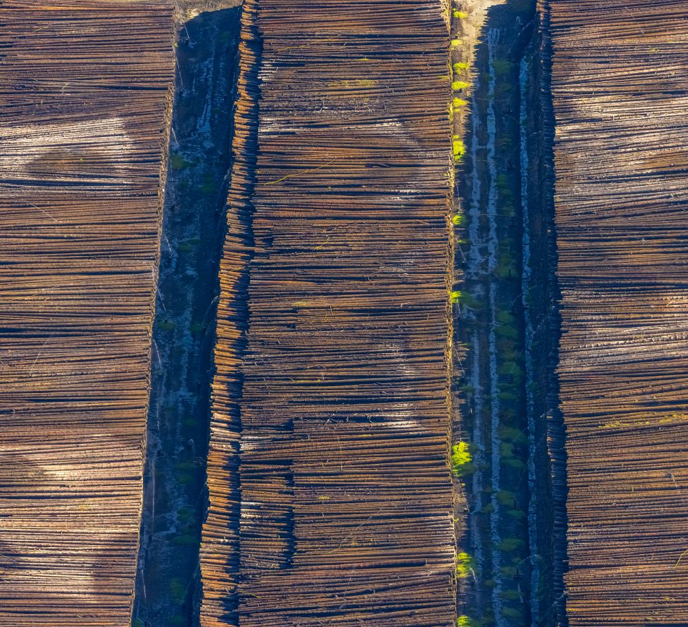 Luftaufnahme Rönkhausen - Lagerfläche für gefällte Baumstämme als Rohstoff der Holzindustrie im Gewerbegebiet in Rönkhausen im Bundesland Nordrhein-Westfalen, Deutschland