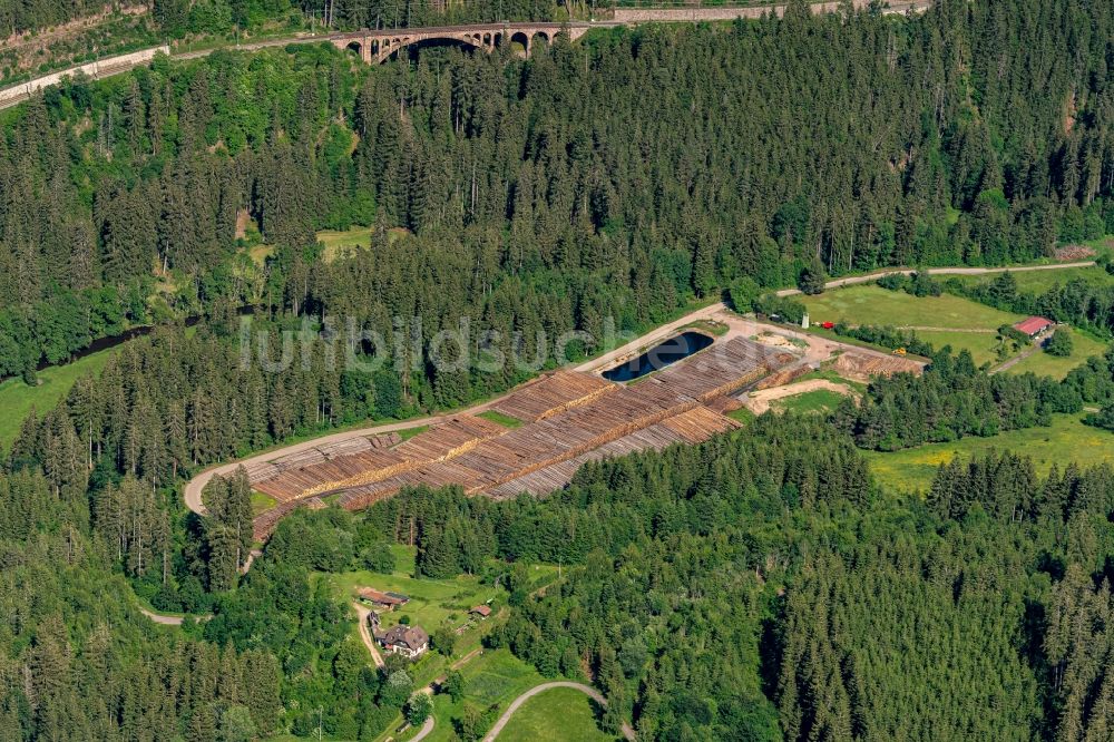 Luftaufnahme Lenzkirch - Lagerfläche für Holz im Wald in Lenzkirch im Bundesland Baden-Württemberg, Deutschland