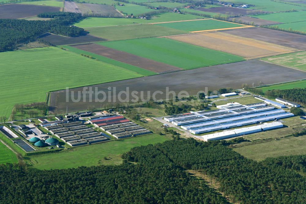 Wanzlitz von oben - Lagerhallen und Speditionsgebäude am Ausbau in Wanzlitz im Bundesland Mecklenburg-Vorpommern, Deutschland