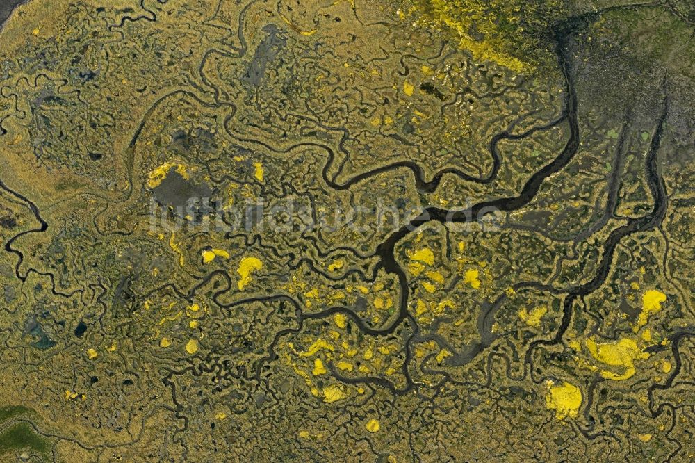 Luftbild Conche - Lagunen- Wasseroberfläche in einer Teichlandschaft in Conche in Veneto, Italien
