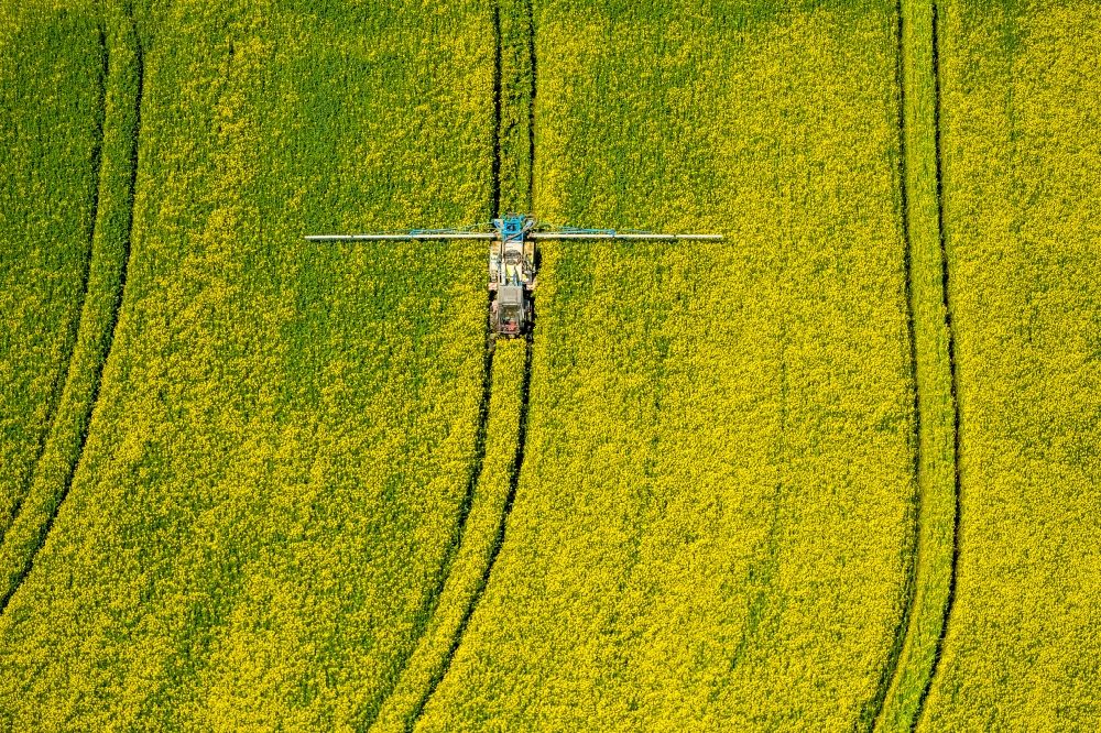 Uelde aus der Vogelperspektive: Landmaschinen Einsatz zum Düngen von gelben Rapsfeldern in Uelde im Bundesland Nordrhein-Westfalen, Deutschland