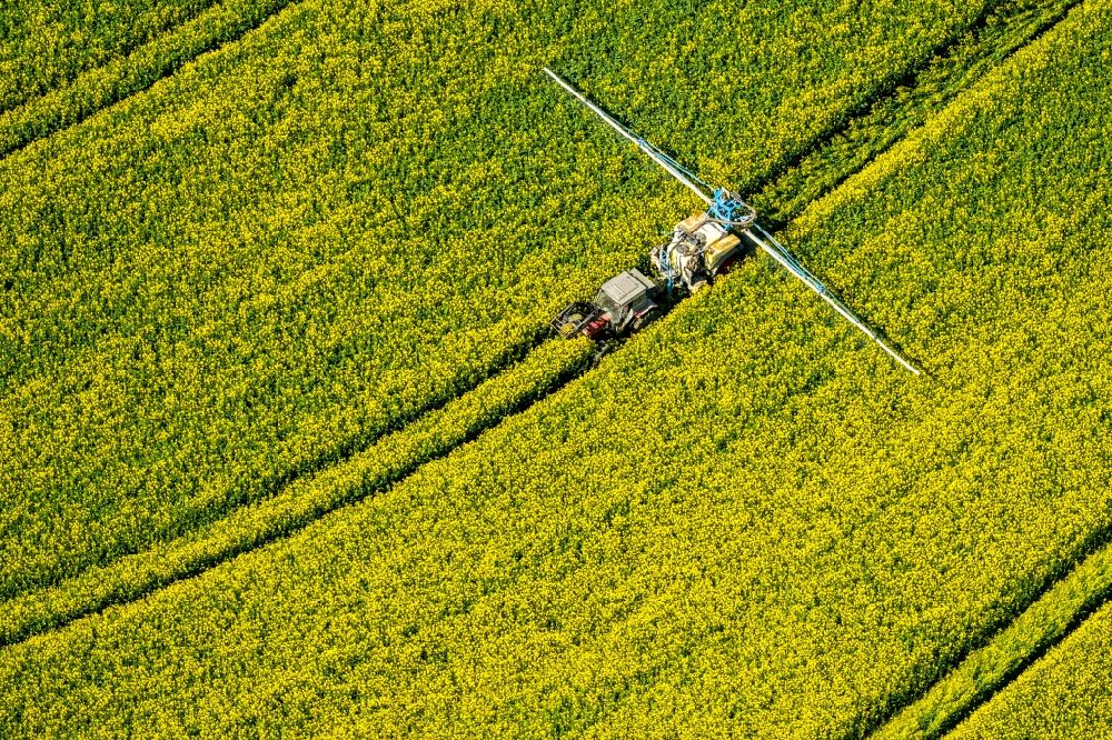 Luftbild Uelde - Landmaschinen Einsatz zum Düngen von gelben Rapsfeldern in Uelde im Bundesland Nordrhein-Westfalen, Deutschland