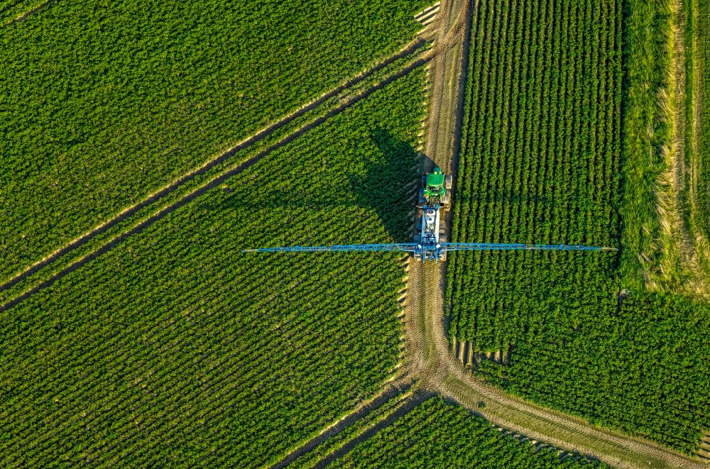 Luftbild Sönnern - Landmaschineneinsatz zum Düngen von Feldern in Sönnern im Bundesland Nordrhein-Westfalen, Deutschland