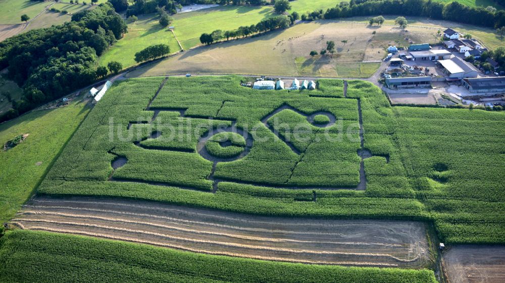 Luftaufnahme Königswinter - Landmetzgerei Klein mit Maisfeld und Labyrinth in Königswinter im Bundesland Nordrhein-Westfalen, Deutschland