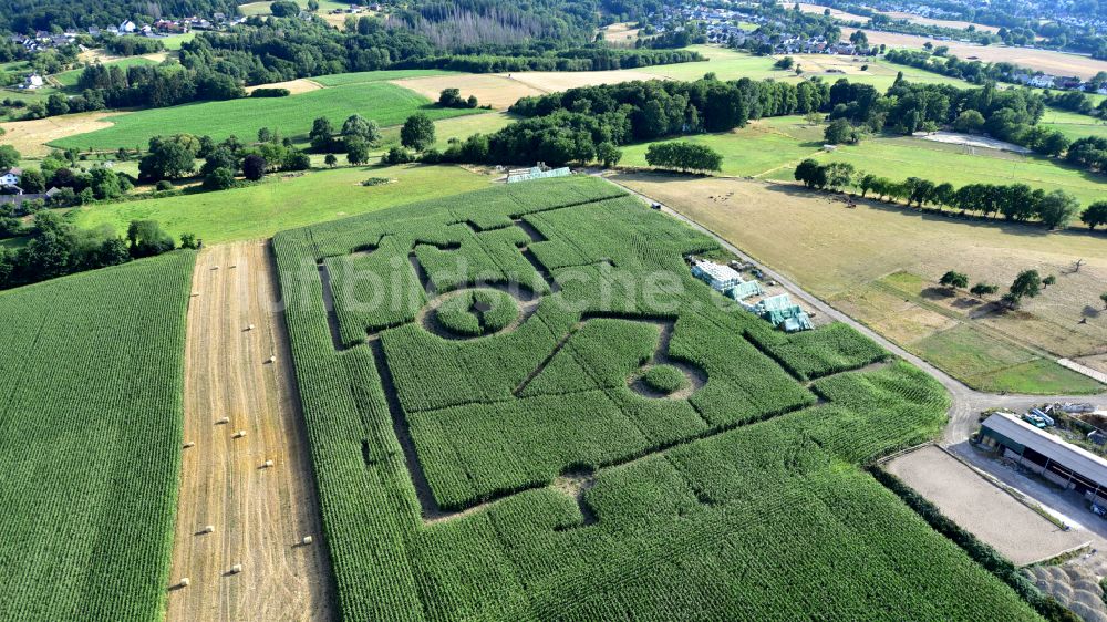 Luftaufnahme Königswinter - Landmetzgerei Klein mit Maisfeld und Labyrinth in Königswinter im Bundesland Nordrhein-Westfalen, Deutschland