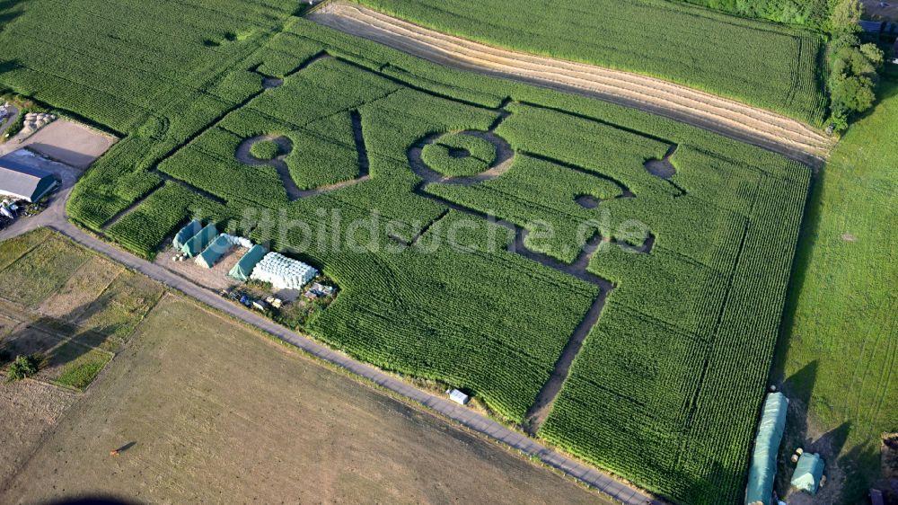 Luftbild Königswinter - Landmetzgerei Klein mit Maisfeld und Labyrinth in Königswinter im Bundesland Nordrhein-Westfalen, Deutschland