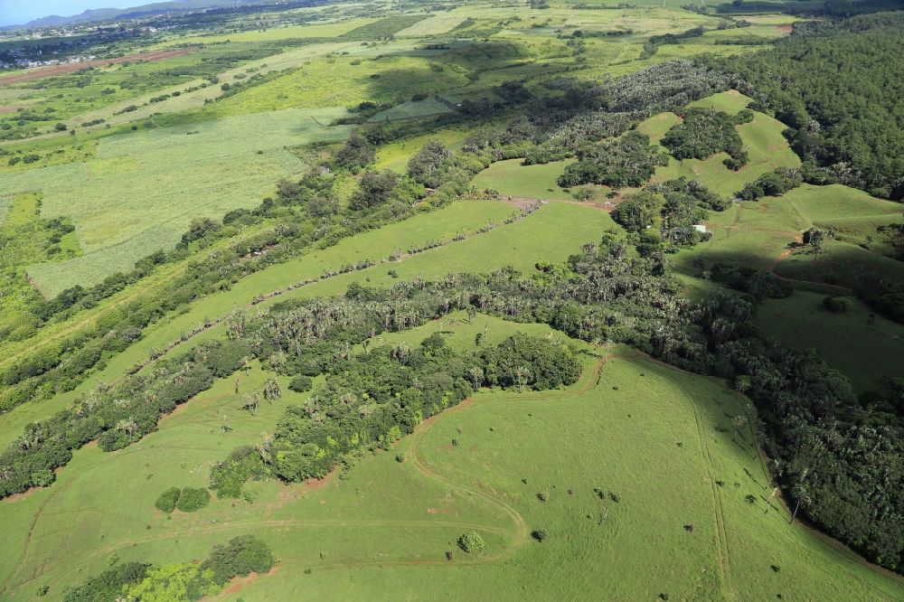 Luftbild La Flora - Landschaft bei La Flora im Bezirk Savanne, Mauritius