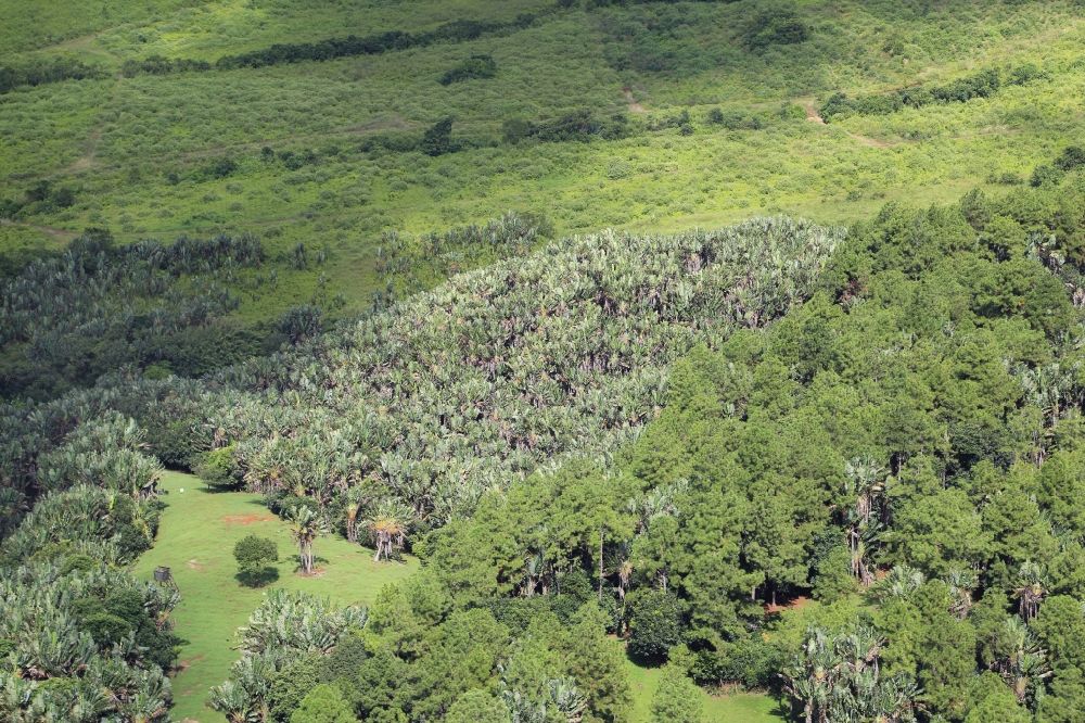 Luftaufnahme La Flora - Landschaft bei La Flora im Bezirk Savanne, Mauritius