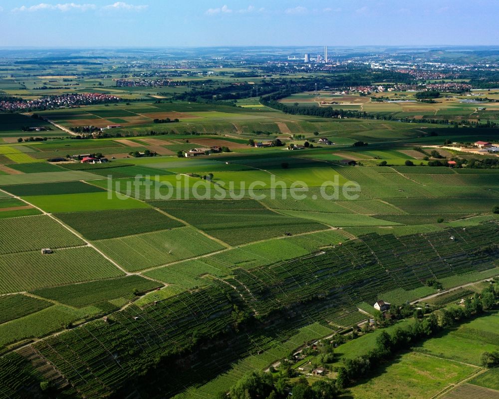 Luftaufnahme Lauffen am Neckar - Landschaft im Norden von Lauffen am Neckar im Bundesland Baden-Württemberg