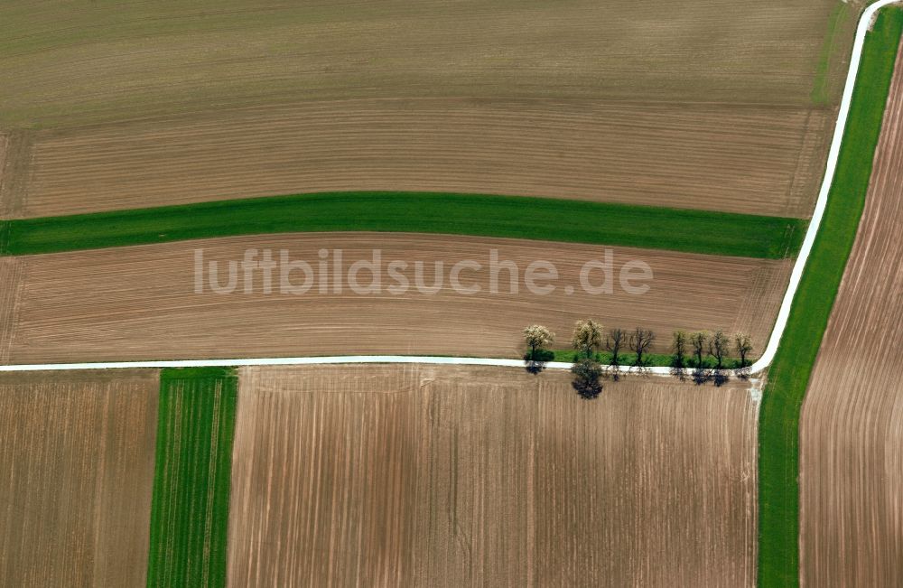 Luftbild Gundelsheim Landkreis Heilbronn - Landschaft spätherbstlichen Felder bei Gundelsheim im Bundesland Baden-Württemberg BW