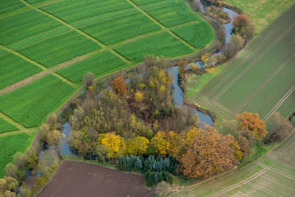 Süddinker von oben - Landschaft am Ufer- Verlauf des Flusses Ahse bei Süddinker in Nordrhein-Westfalen