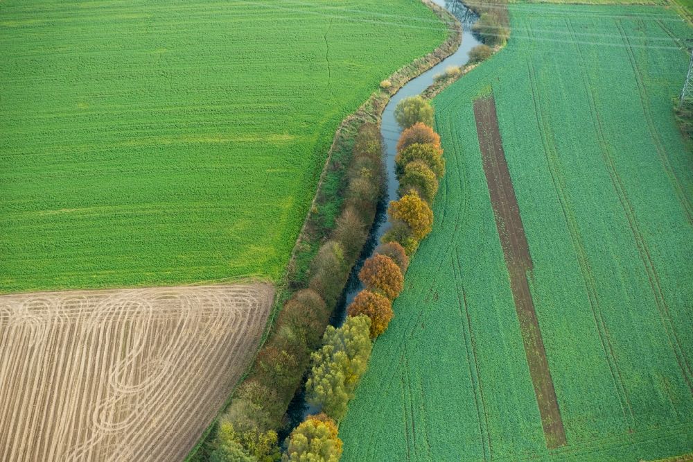 Luftbild Süddinker - Landschaft am Ufer- Verlauf des Flusses Ahse bei Süddinker in Nordrhein-Westfalen