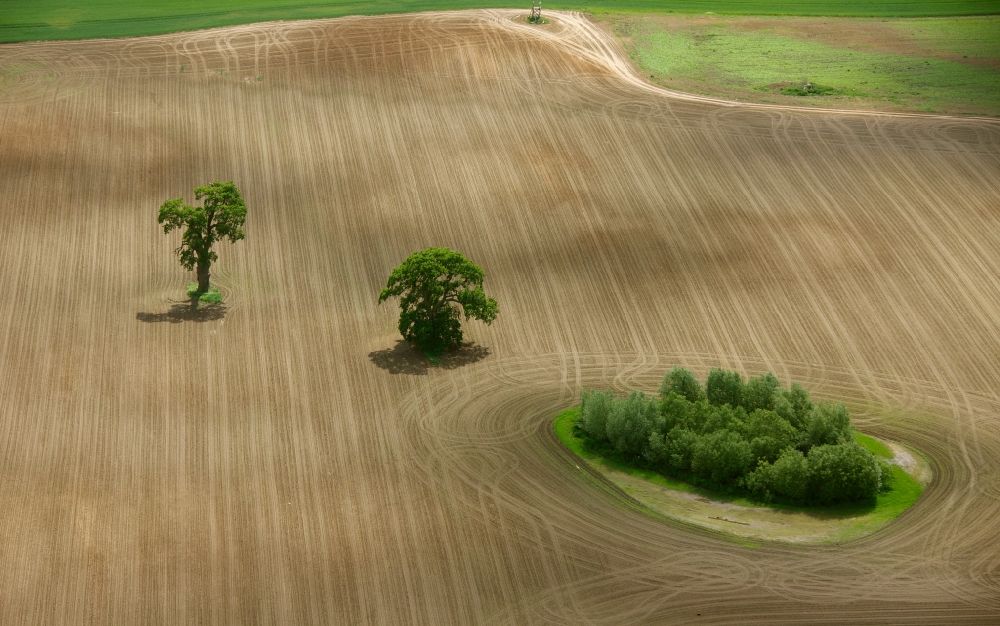 Ludorf aus der Vogelperspektive: Landschaft umgepflügter Felder mit inselförmigen Baum- und Strauchbewuchs in Ludorf im Bundesland Mecklenburg-Vorpommern