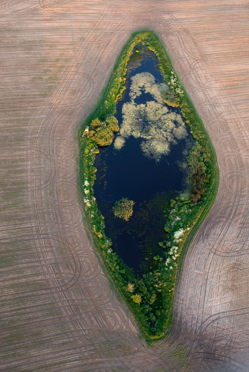 Luftaufnahme Ludorf - Landschaft umgepflügter Felder mit inselförmigen Baum- und Strauchbewuchs in Ludorf im Bundesland Mecklenburg-Vorpommern