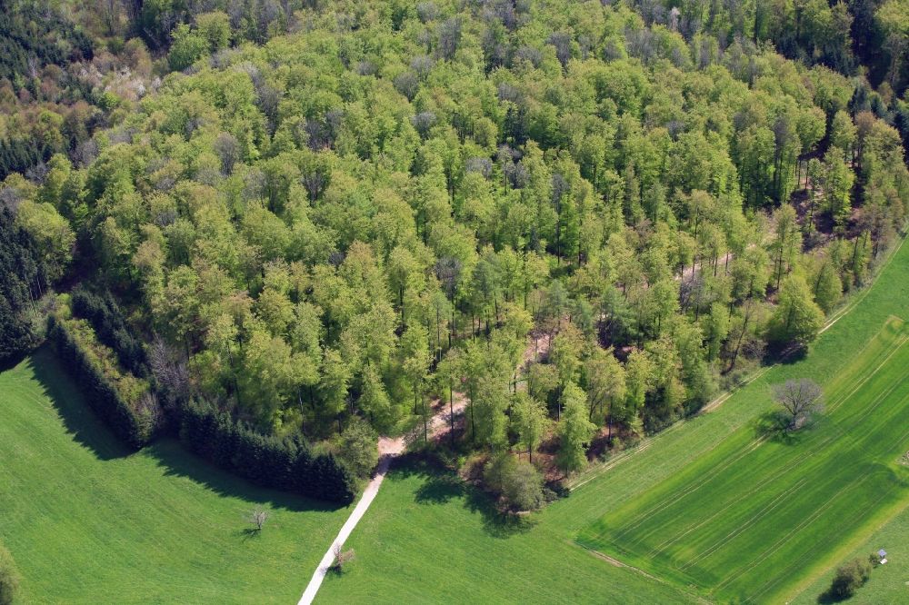 Luftbild Schwörstadt - Landschaft mit Wald und Wiesen in Schwörstadt im Bundesland Baden-Württemberg