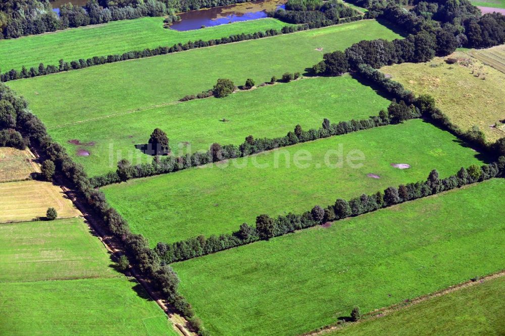 Luftaufnahme Hambergen - Landschaft von Wiesen und Feld - Reihen am Stadtrand von Hambergen im Bundesland Niedersachsen
