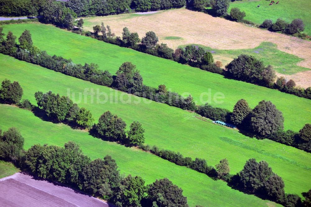 Luftbild Hambergen - Landschaft von Wiesen und Feld - Reihen am Stadtrand von Hambergen im Bundesland Niedersachsen