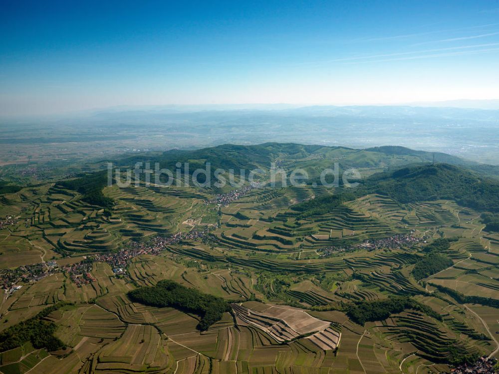 Luftbild SCHELINGEN - Landschaften des Kaiserstuhl s, einem hohes Mittelgebirge im Südwesten von Baden-Württemberg