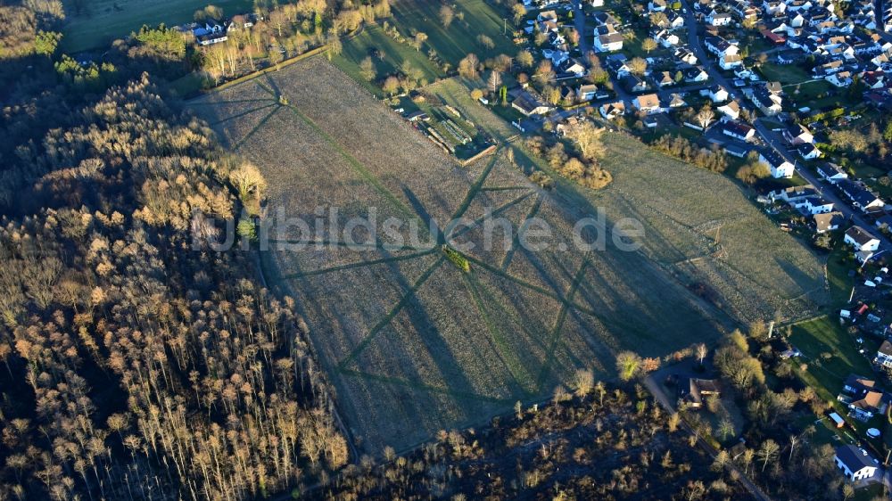 Bruchhausen von oben - Landwirtschaftlich genutzte Fläche mit Bejagungsschneisen im Bundesland Rheinland-Pfalz, Deutschland