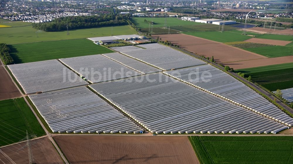 Bornheim von oben - Landwirtschaftlich genutzte Fläche südlich von Keldenich im Bundesland Nordrhein-Westfalen, Deutschland