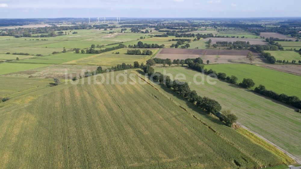 Barum von oben - Landwirtschaftliche Felder bei Barum im Bundesland Niedersachsen, Deutschland