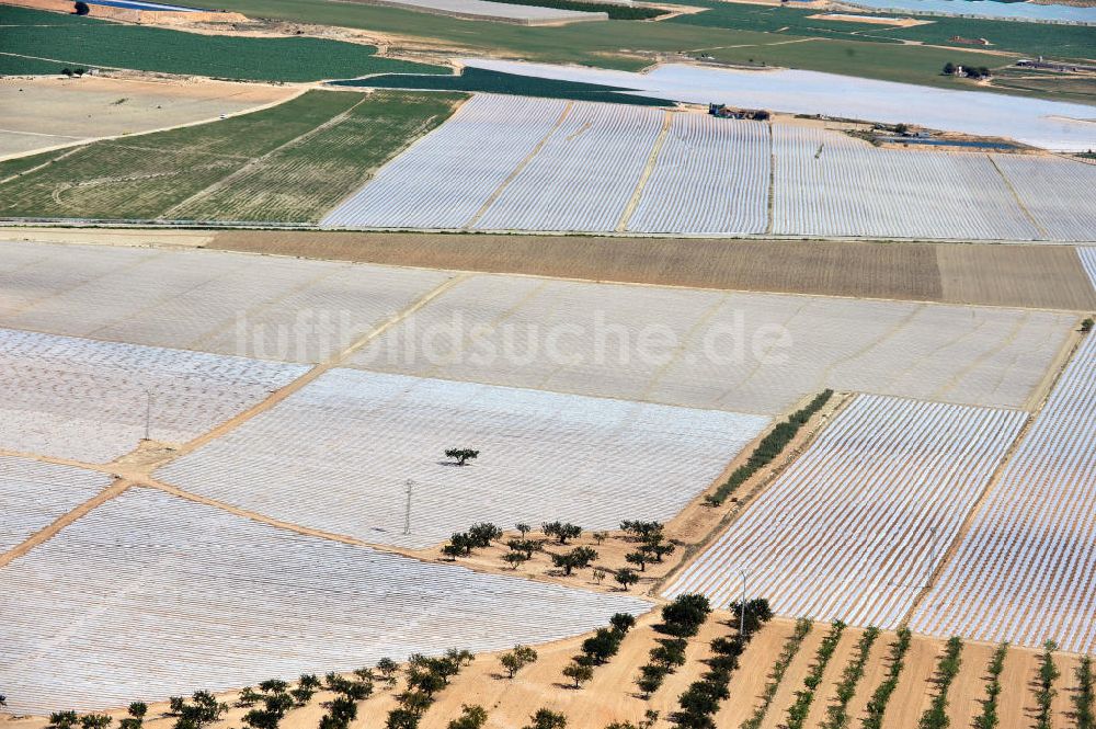 Luftbild Los Martinez - Landwirtschaftliche Nutzflächen bei Los Martinez in der Region Murcia in Spanien