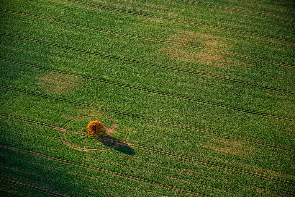 Ivenack von oben - Landwirtschaftliche Nutzfläche bei Ivenack im Bundesland Mecklenburg-Vorpommern