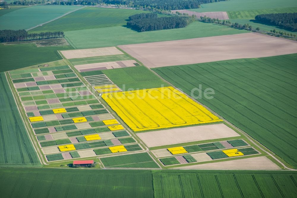 Dahnsdorf aus der Vogelperspektive: Landwirtschaftliche Versuchsfelder in Dahnsdorf im Bundesland Brandenburg
