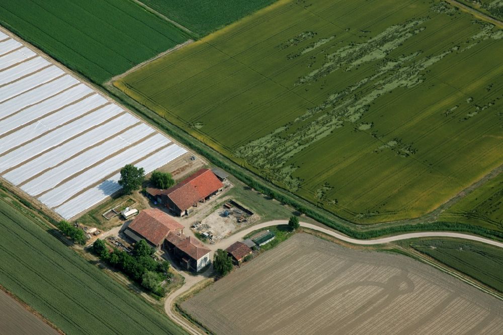 Luftbild Minerbe - Landwirtschaftliches Gehöft mit Scheunen- Gebäude am Rande von Feldern in Minerbe in Venetien, Italien