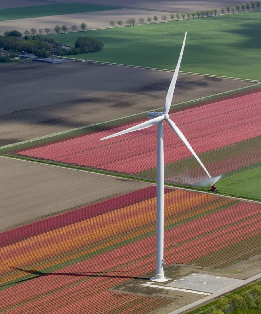 Luftaufnahme Zeewolde - Landwirtschafts - Landschaft mit Tulpenfeldern zur Blumenproduktion bei Zeewolde in Nordholland in Holland / Niederlande