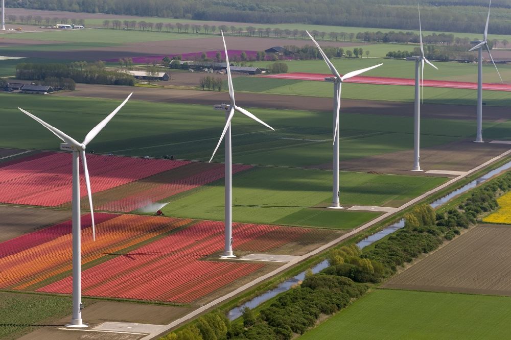 Luftbild Zeewolde - Landwirtschafts - Landschaft mit Tulpenfeldern zur Blumenproduktion bei Zeewolde in Nordholland in Holland / Niederlande