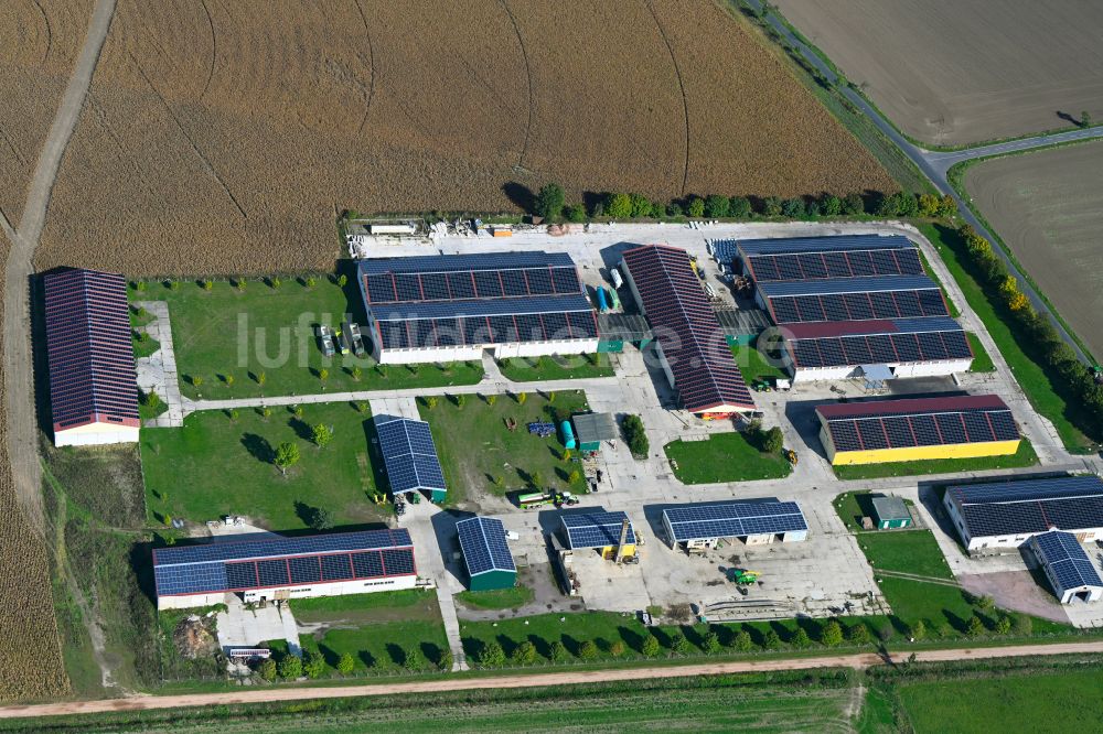 Luftaufnahme Isterbies - Landwirtschaftsbetrieb in Isterbies im Bundesland Sachsen-Anhalt, Deutschland