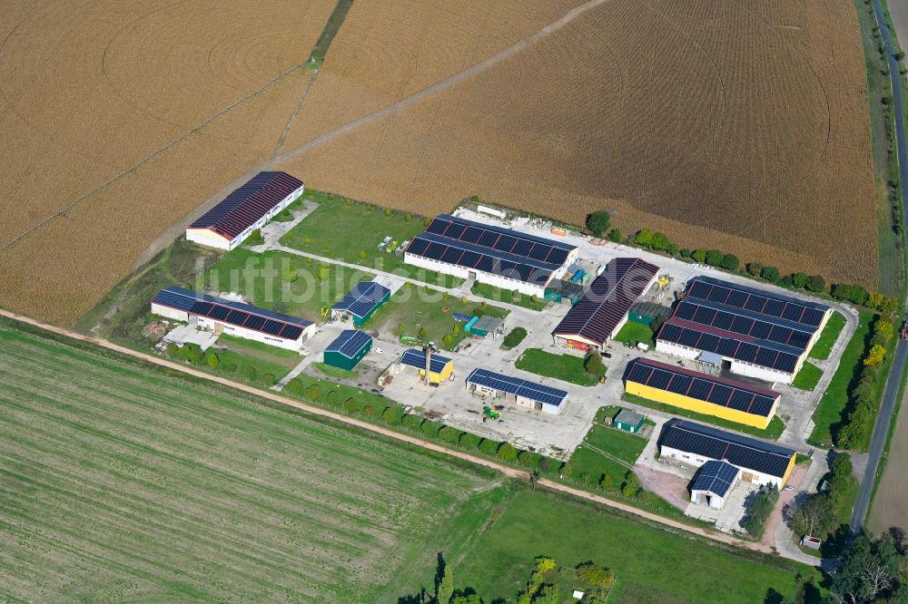 Isterbies aus der Vogelperspektive: Landwirtschaftsbetrieb in Isterbies im Bundesland Sachsen-Anhalt, Deutschland