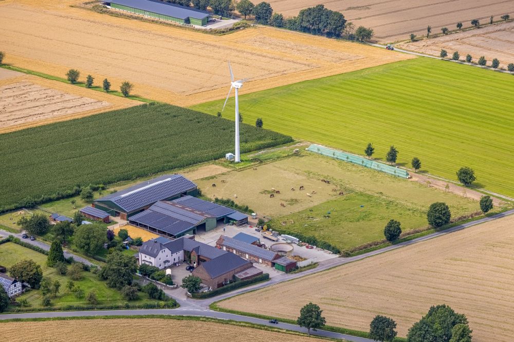 Luftbild Ostbüren - Landwirtschaftsbetrieb ratz rabatz in Ostbüren im Bundesland Nordrhein-Westfalen, Deutschland